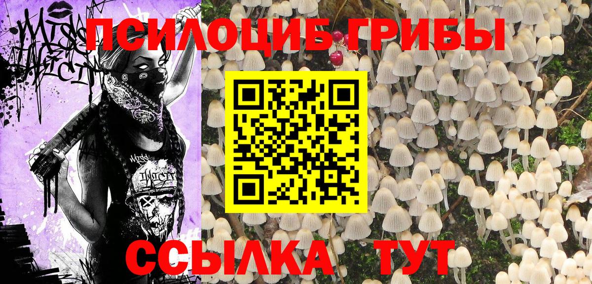 Галлюциногенные грибы Cubensis Магадан
