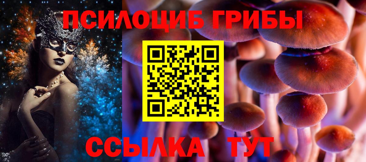 Магадан  Галлюциногенные грибы Cubensis  магазин    Галлюциногенные грибы GOLDEN TEACHER  Вход с VPN 